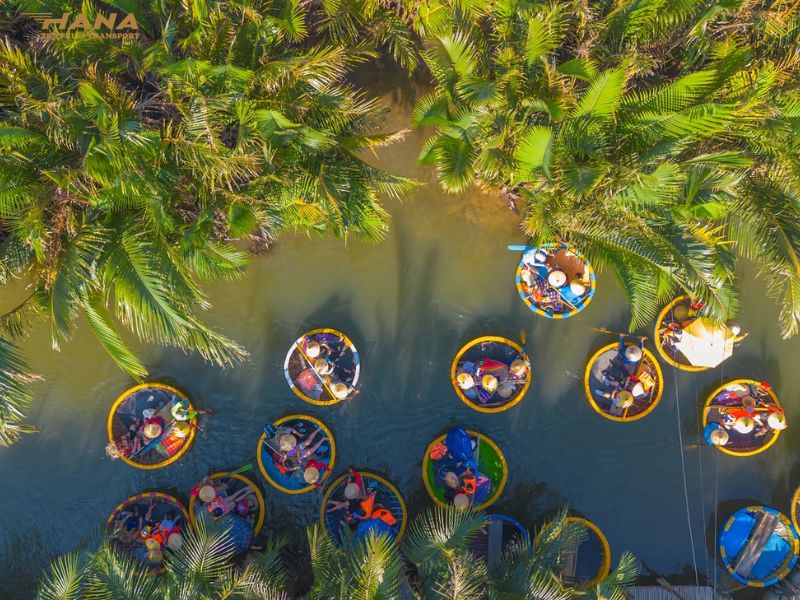 Rừng dừa Bảy Mẫu