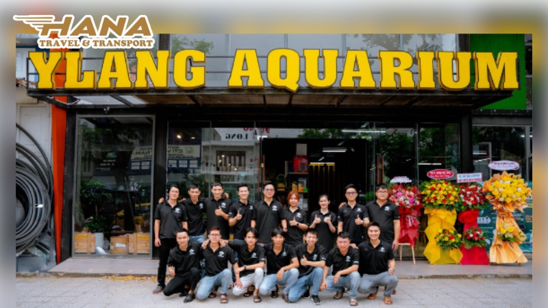 Cửa hàng thủy sinh Đà Nẵng Ylang Aquarium