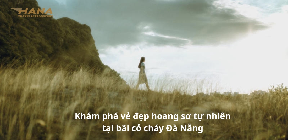 Khám phá vẻ đẹp hoang sơ tự nhiên tại bãi cỏ cháy Đà Nẵng